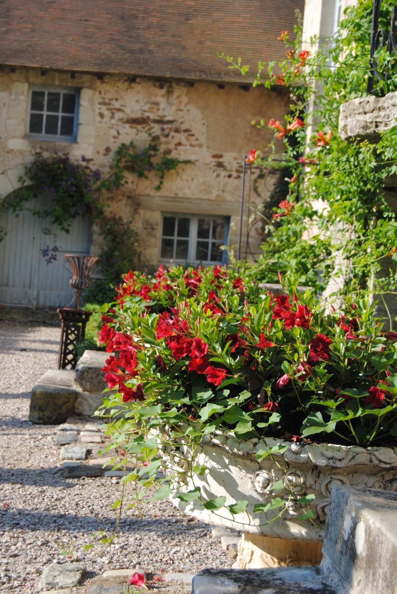 Chateau De Montchoisy Chezelle Kültér fotó